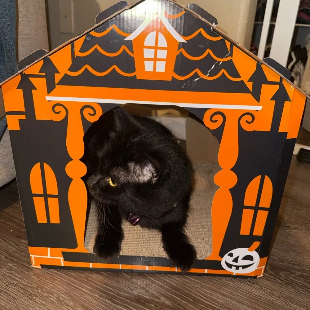 Orange spooky haunted house Cat Scratcher